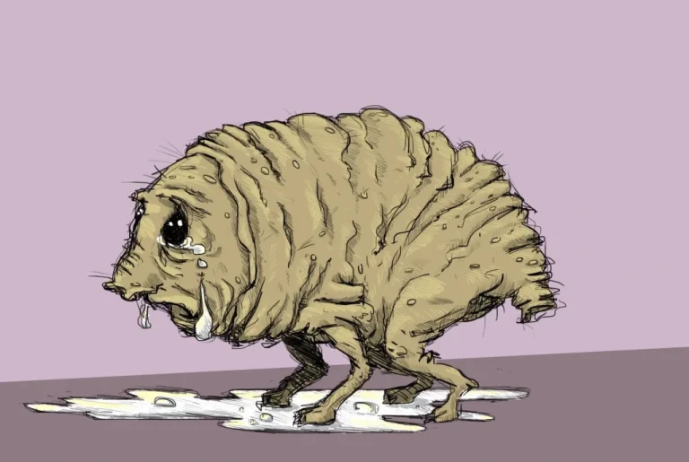 El Squonk de Pensilvania — El críptido más triste del mundo que se disuelve en lágrimas