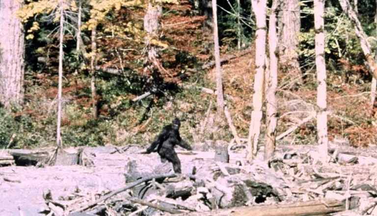 Pie Grande (Sasquatch) — El gigante de los bosques americanos y la cinta Patterson-Gimlin